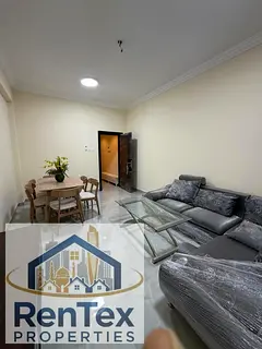 1 BHk Brand New Fully Furnished Apartment Available on Monthly Basis