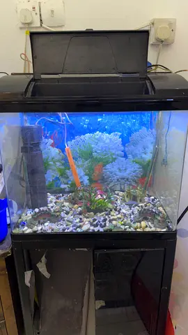 Complete Aquarium with Stand, Filter and Hood - Working Condition