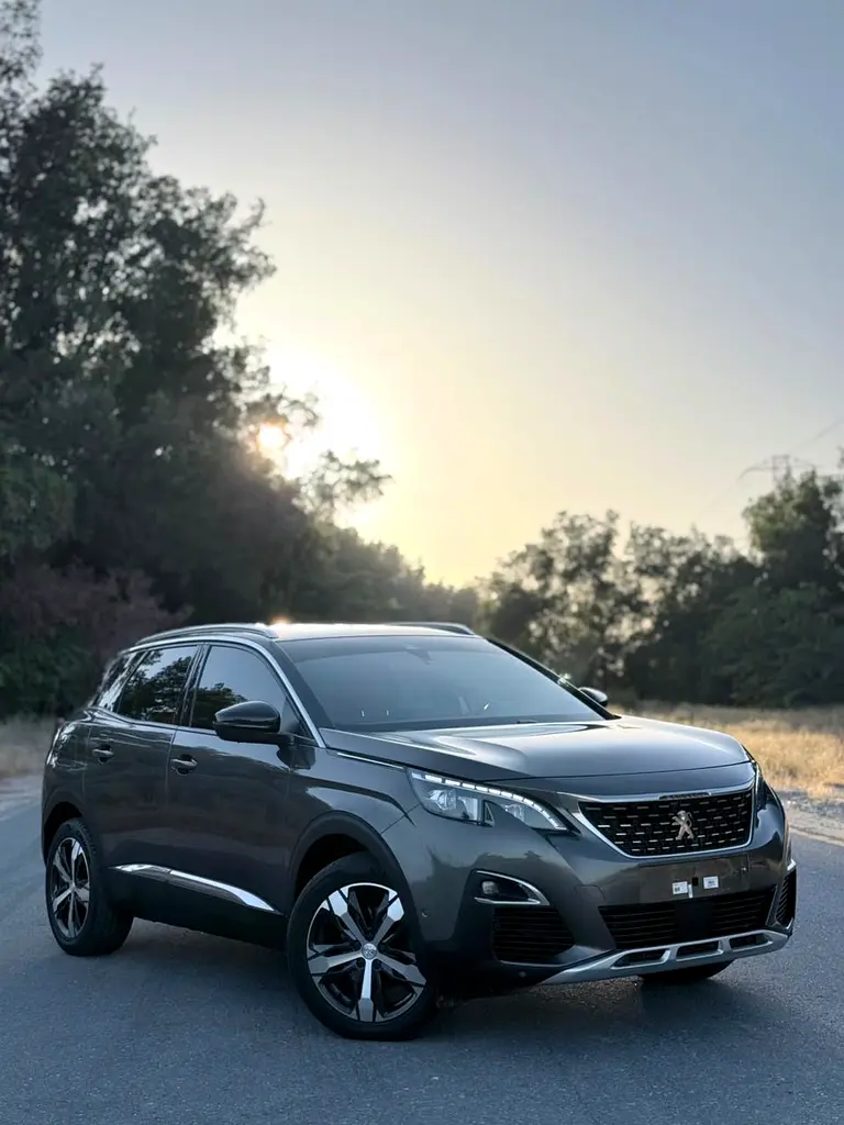 Peugeot 2008 2019 — photo 1 of 19