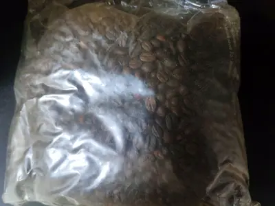 Bag of roasted coffee beans - free