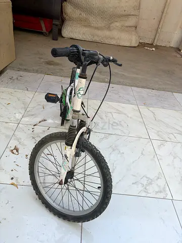 Kids 20-inch Mountain Bike — White, Good Working Condition