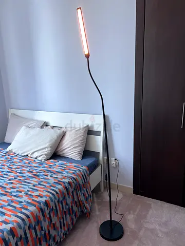 Floor lamp / Tall lamp (white cool and warm light)