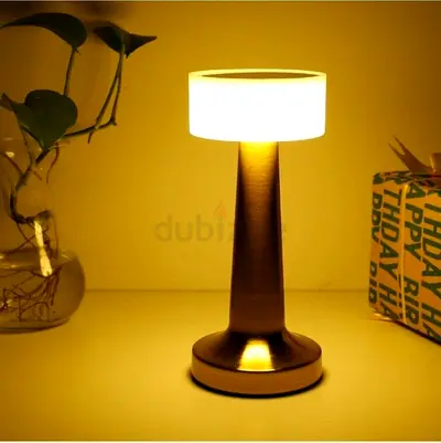Table Lamps modern portable Globe lamps— 4 Colors