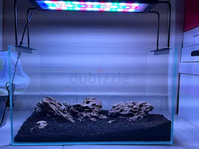 Aquarium for sale with aquarium canister filter