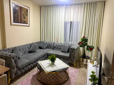 القاسمية