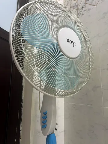 Pedestal Fan