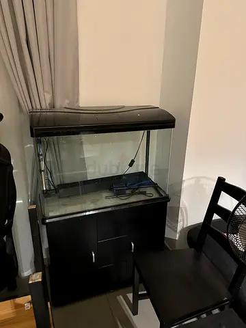 Aquarium tank with hood, filter and stand - ready setup