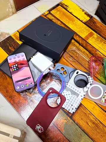 Vivo X300