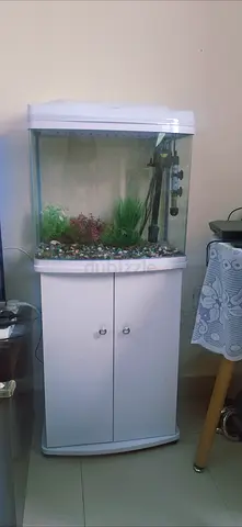FISH TANK WITH SHELF