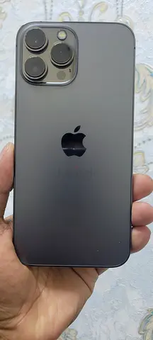 13pro max