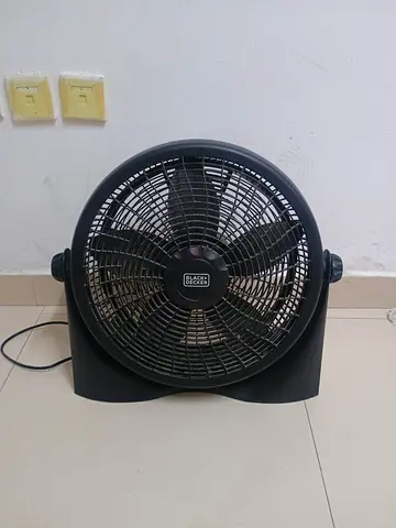 Fan