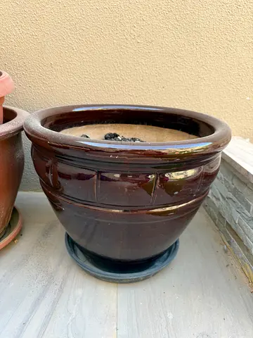 Big glazed pot
