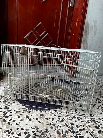 Big metal bird cage with perches