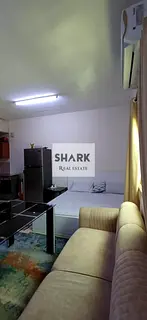 3 studio for rent monthly in Rashidya