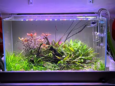 Aquarium for sale