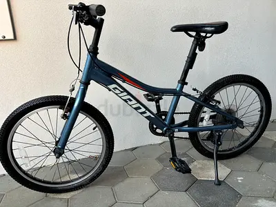 Giant kids/teen 20-inch mountain bike - good condition