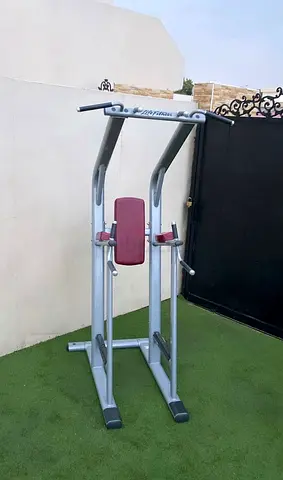 Lifefitness dips