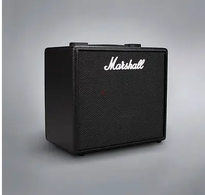 Marshall Guitar Amp / Speaker