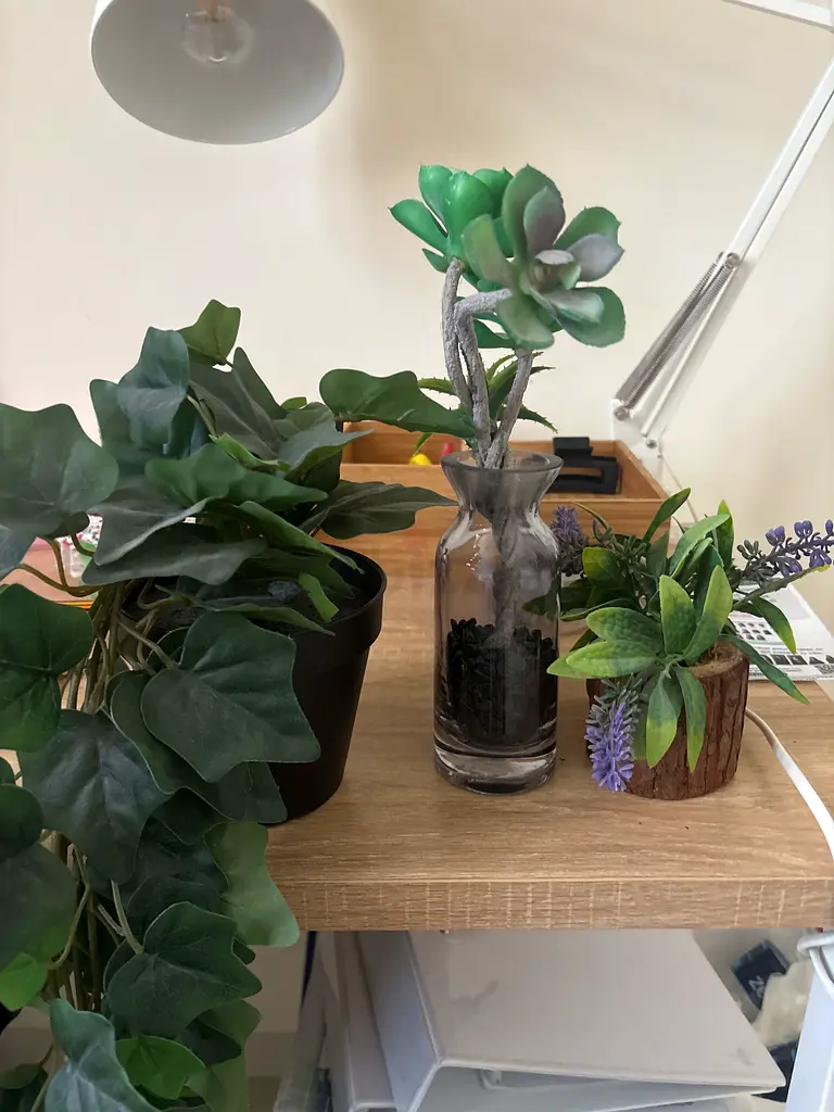 Listing Photo