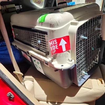 Cats and dogs carriers for air travel L 68
