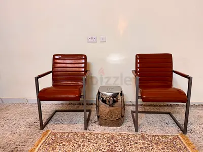 Marina Home Pair of Brown Leather Armchairs with Metal Frame
