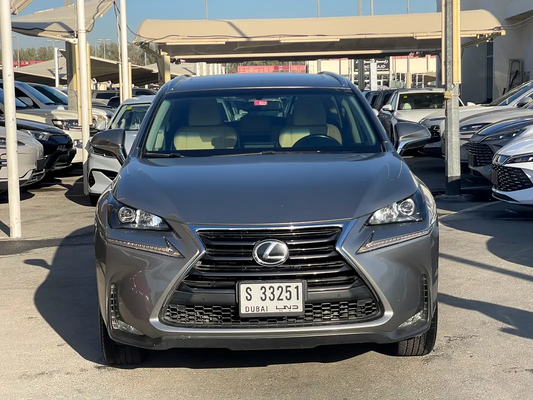 Lexus NX-Series 2016 — photo 1 of 12