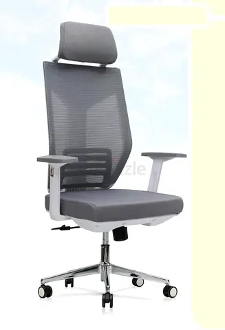 Brand New Ergonomic Office Chair