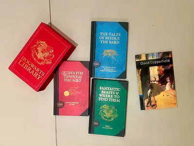 Manga  Novel Bundle – Excellent Condition