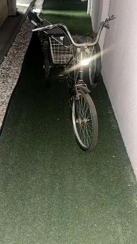 Used Adult Tricycle with Rear Basket - Comfortable City Cruiser