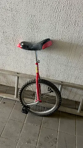 Unicycle