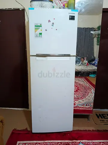 Freezer Big