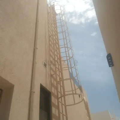 Outdoor Fixed Safety Ladder with pergola shed