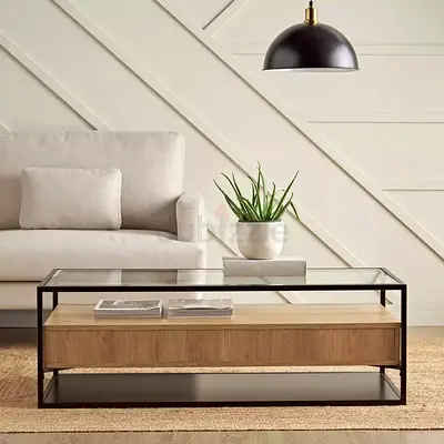 Modern Glass and Wood Coffee Table