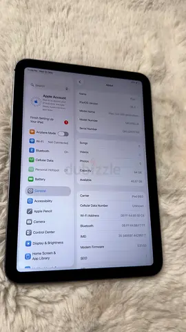 iPad mini6