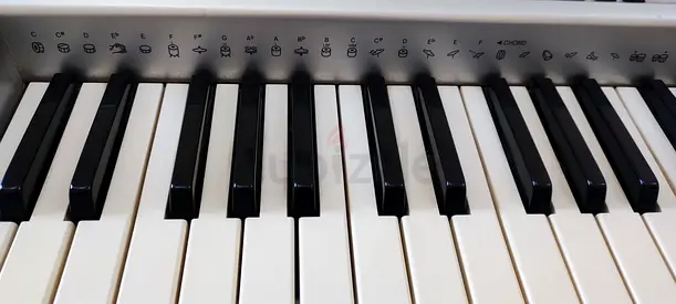 Casio keyboard CTK 691