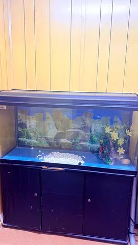 Large Glass Aquarium Tank with Decorative Background and Accessories
