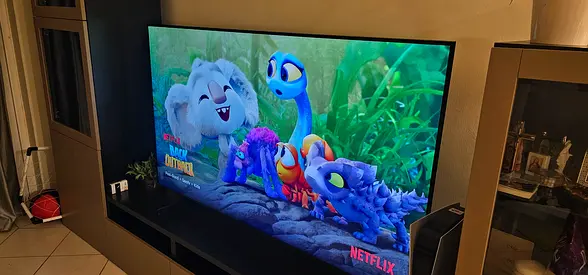 Samsung QLED display 65 inch 2025 model for sale