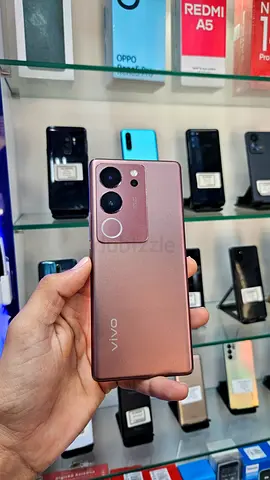Vivo V29 (5G)