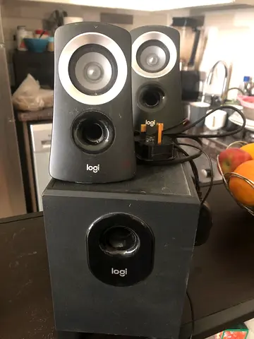 Speaker