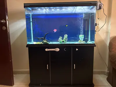 Complete 1 meter Aquarium Tank with Cabinet and LED Lighting