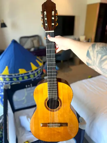 Vintage 1979 Giorgio Guitar – Bossa Nova Era | Newly Serviced | Price Reduced for Quick Sale