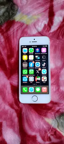 iPhone SE (1st gen) - Good Working Condition, Unlocked