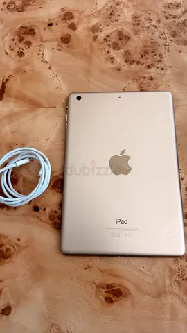Gold iPad (Wi‑Fi) with Charger
