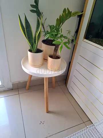 Small round wooden side table with plants