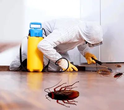 Pest control