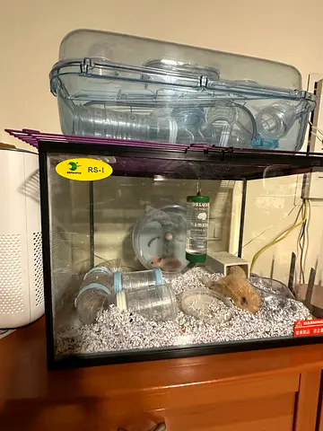 hamster cage