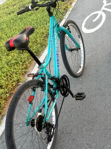 Used bicycle in good condition. Runs well and everything works fine.