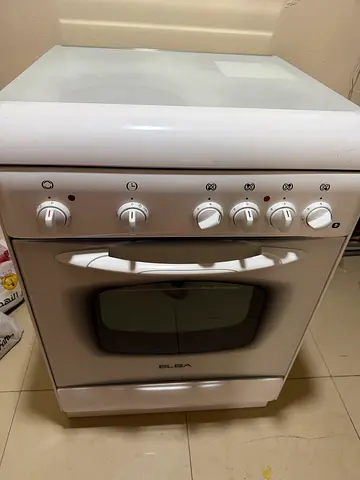 Electric stove