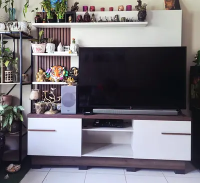 TV stand with shelves