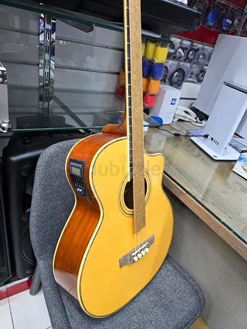 Semi Acoustic 4 string Bass Guitar  - Brand New